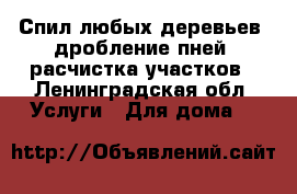 Спил любых деревьев, дробление пней, расчистка участков - Ленинградская обл. Услуги » Для дома   